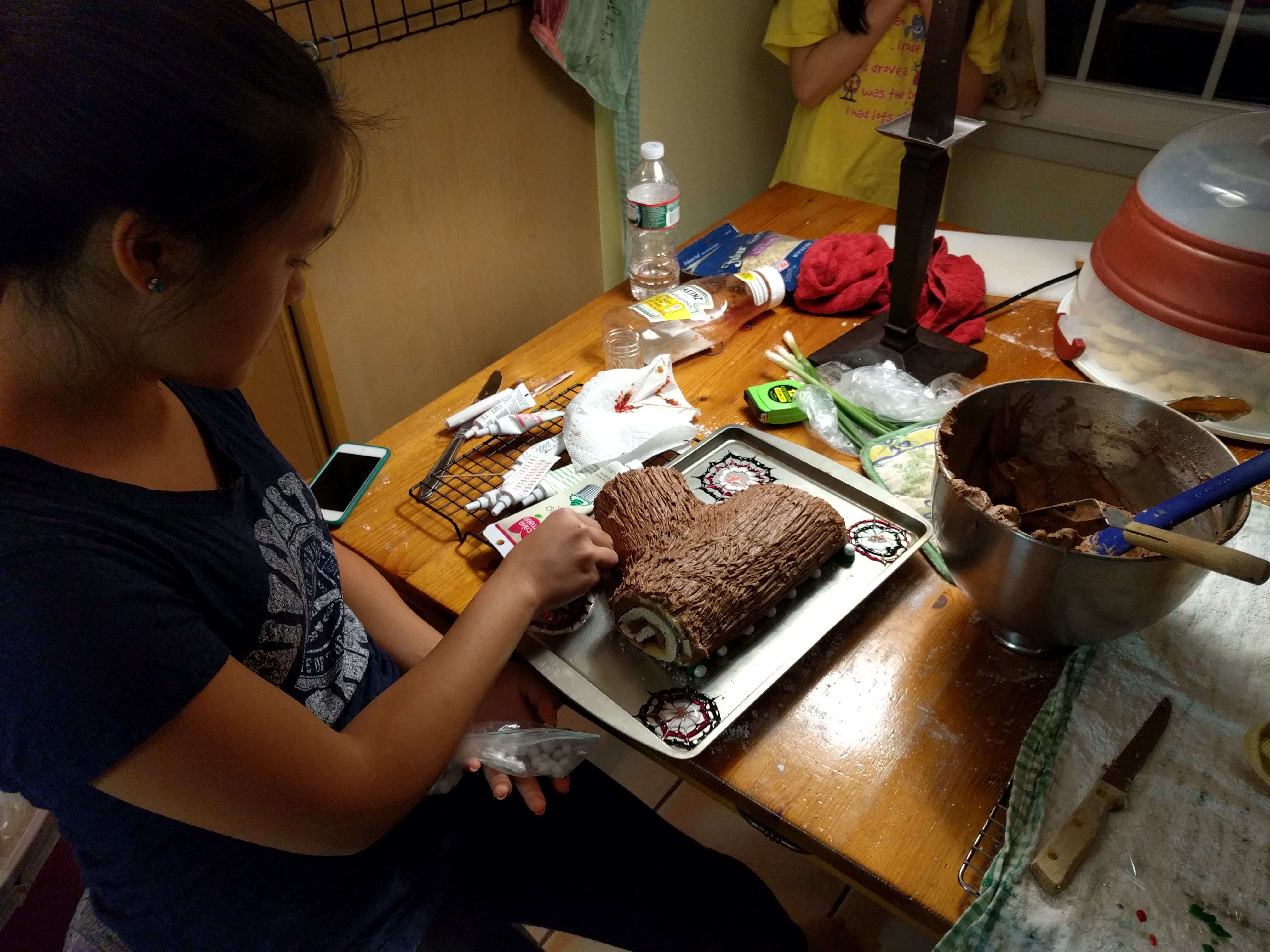 IMG_20151219_181230 (1)
